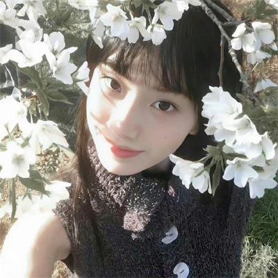 花花万物第二季